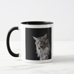Maine Coonkatt 2 Mugg
