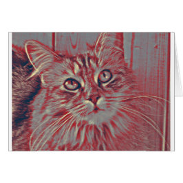 Maine Coonkatt Hälsningskort