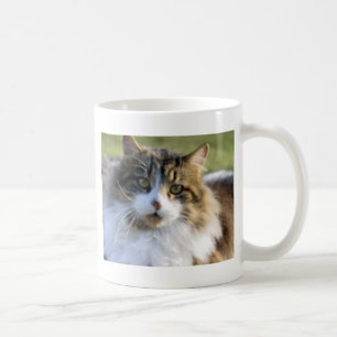 Maine Coonkatt Kaffemugg