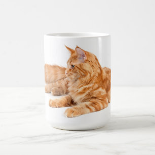 Maine Coonkatt Kaffemugg