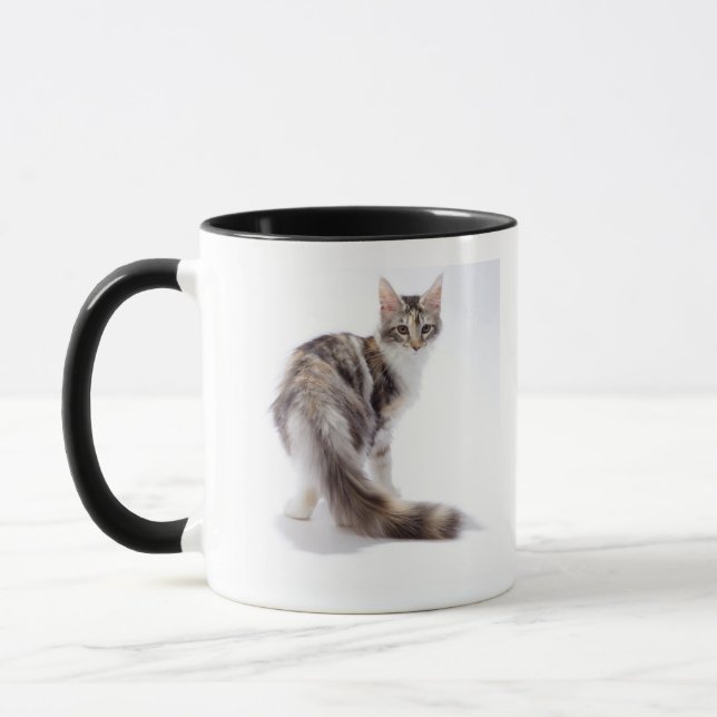 Maine Coonkatt Mugg (Vänster)