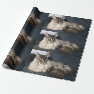 Maine Coonkatt Presentpapper