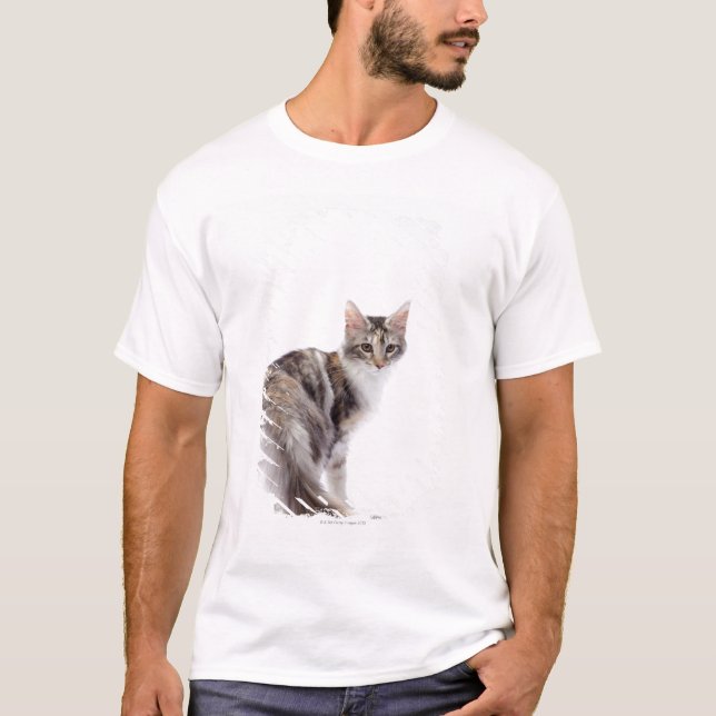 Maine Coonkatt Tee Shirt (Framsida)