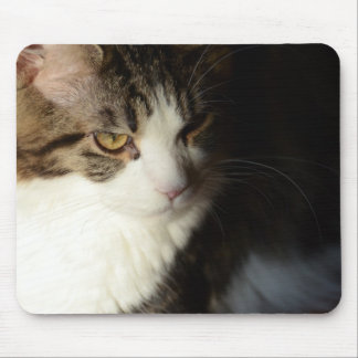 Maine Coonkattunge Mousepad Musmatta