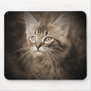 Maine CoonSepia #1 Mousepad Musmatta