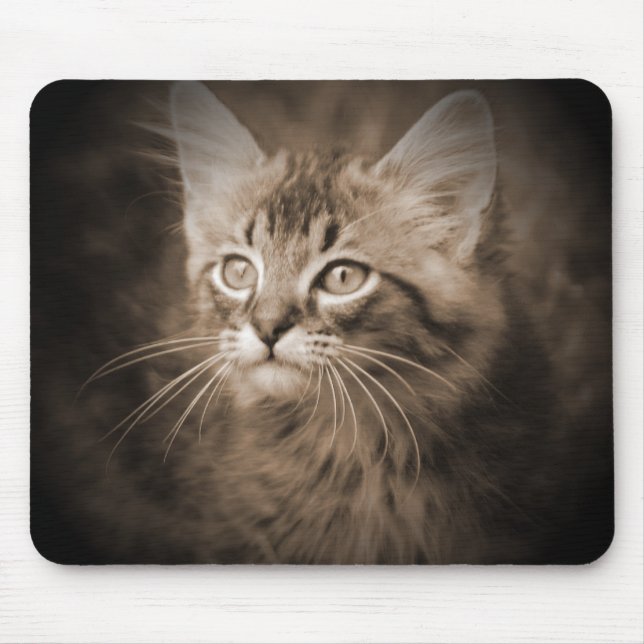 Maine CoonSepia #1 Mousepad Musmatta (Framsidan)