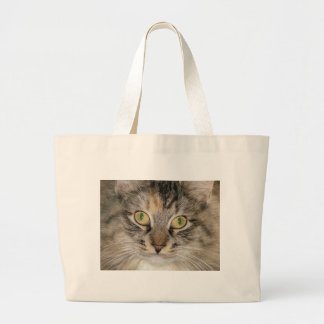 Maine Coontabby katt Jumbo Tygkasse