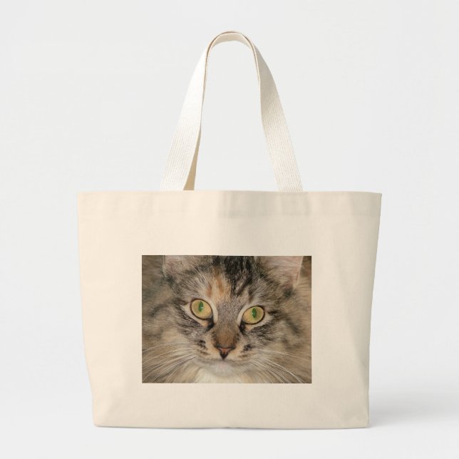 Maine Coontabby katt Jumbo Tygkasse (Framsidan)