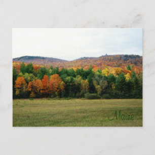 Maine Foliage Vykort