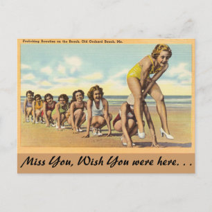 Maine, Frolicking Beauties Vykort
