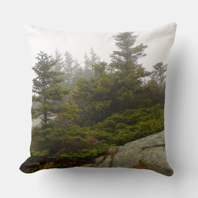 Maine Gräs Boulders Acadia Photo Kudde (Framsida)