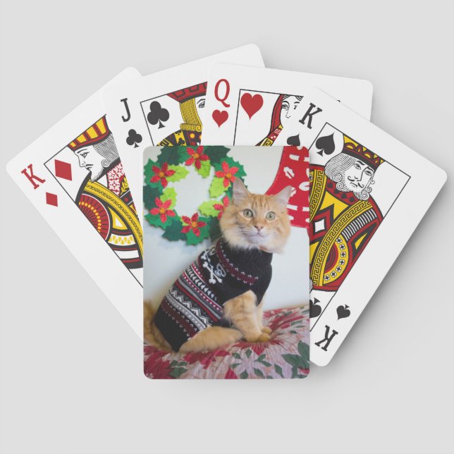 Maine Guy I Casinokort (Baksidan)