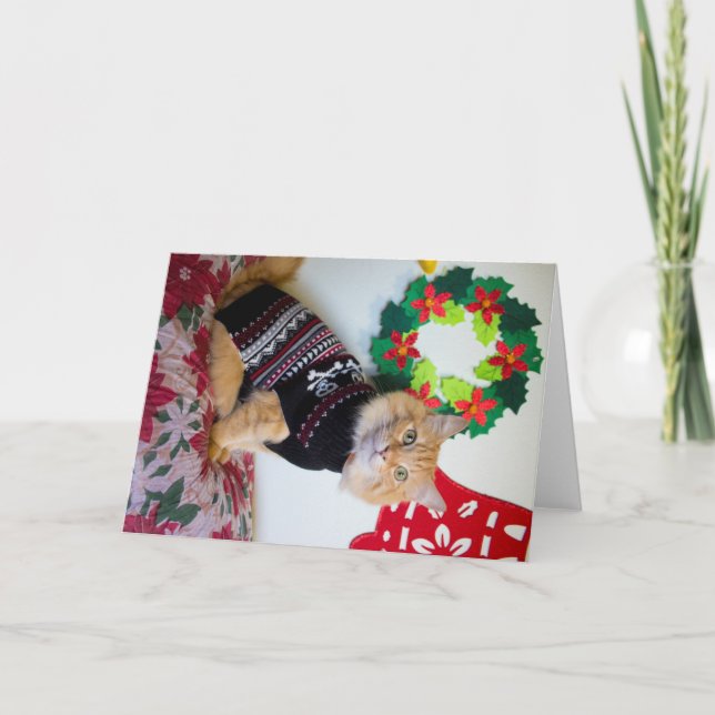 Maine Guy I Helgkort (Framsida)