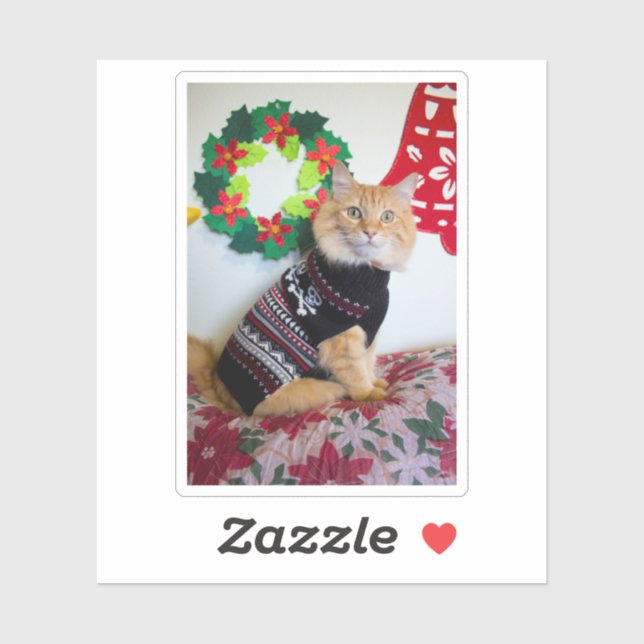 Maine Guy I Klistermärken (Ark)