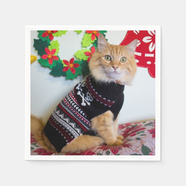 Maine Guy I Pappersservett (Framsidan)