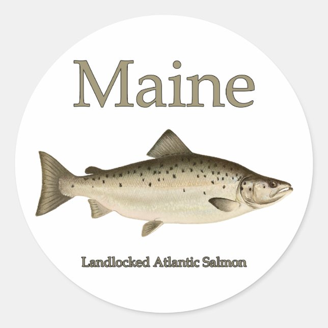 Maine Landlockad Salmon Runt Klistermärke (Framsida)
