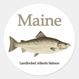 Maine Landlockad Salmon Runt Klistermärke
