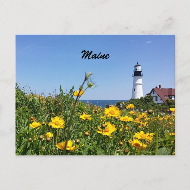 Maine Lighthouse-vykort Vykort (Framsida)