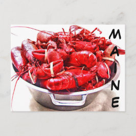 Maine Lobster Vykort