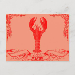 maine lobster vykort
