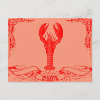maine lobster vykort