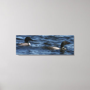 Maine Loons Canvastryck