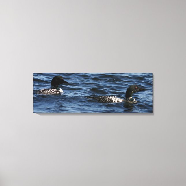 Maine Loons Canvastryck (Framsida)