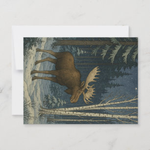 Maine Moose i Winter Snö Vykort