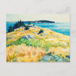 Maine-öarna av Newell Convers Wyeth Vykort