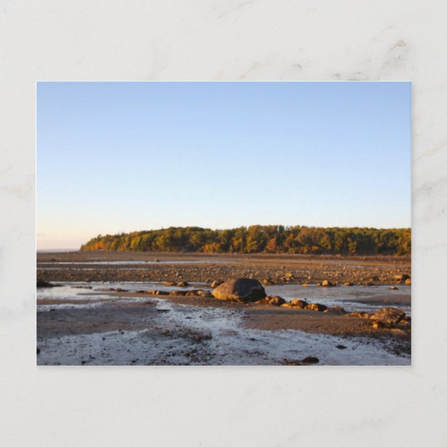 Maine Pub Island Photo Vykort (Framsida)