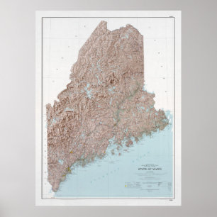 Maine Relief Karta (1977) Staten Gräs Träd  Poster