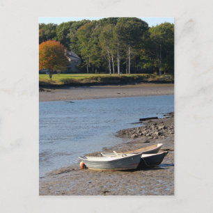 Maine Rowboat Vatten Photo Vykort