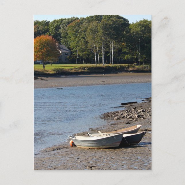 Maine Rowboat Vatten Photo Vykort (Framsida)