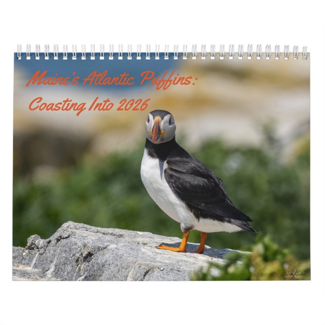 Maine’s Atlantic Puffins: Coasting Into 2026  Kalender (Omslag)