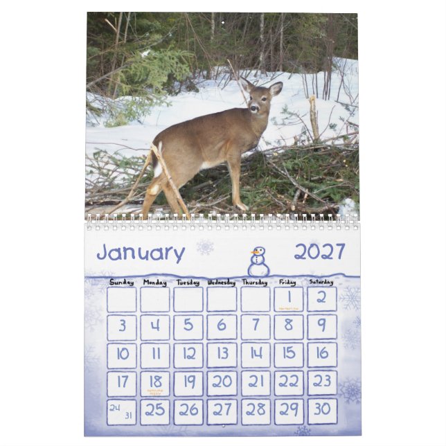 Maine skogen & bevattnar kalender 2013 (Jan 2027)