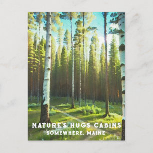 *~* Maine Skogsbjörk Ständigt gröna AP49 Vykort