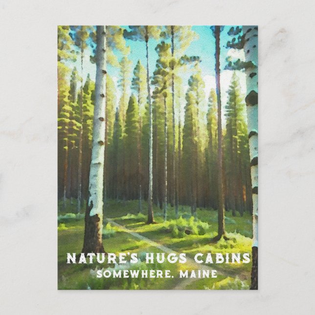 *~* Maine Skogsbjörk Ständigt gröna AP49 Vykort (Framsida)