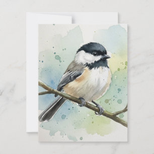 Maine State Bird Black-Caps Chickadee Vykort