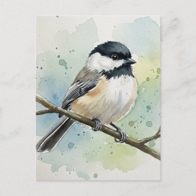Maine State Bird Black-Caps Chickadee Vykort (Framsida)