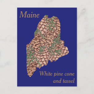 Maine State Flower Collage Karta Vykort