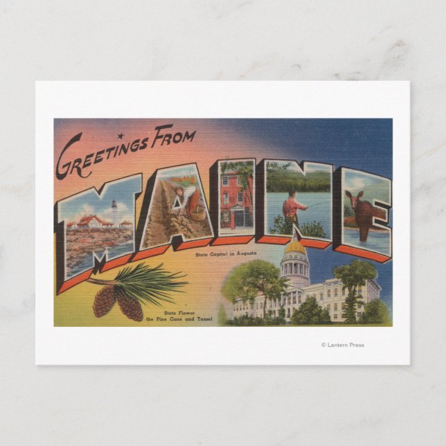 Maine (statligt kapital/blomma)Stora Brev Vykort (Framsida)