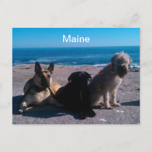 Maine Vacation Vykort