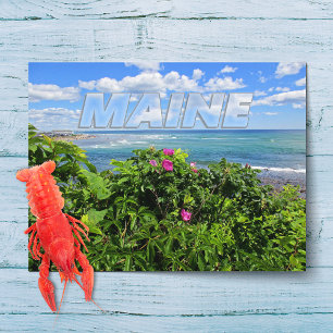 Maine Vykort
