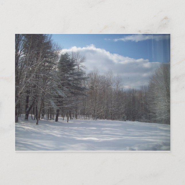 Maine Vykort (Framsida)