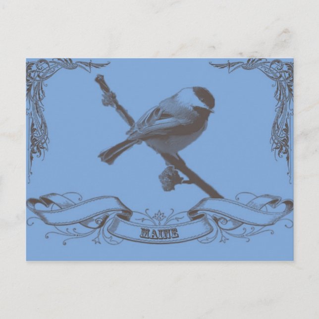 mainechickadee vykort (Framsida)