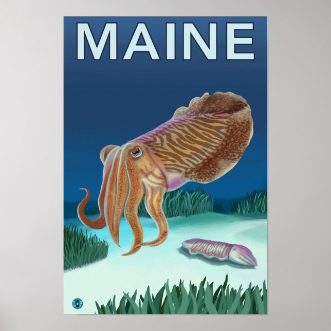 MaineCuttlefish Scene Poster (Framsidan)