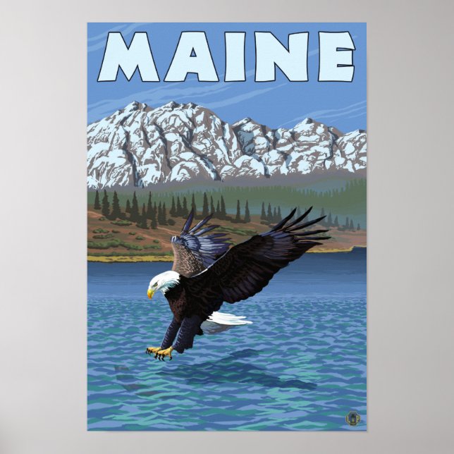 MaineEagle-fiske Poster (Framsidan)
