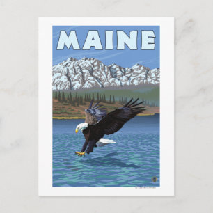 MaineEagle-fiske Vykort