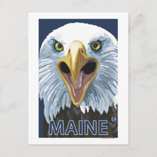 MaineEagle Up Close Vykort