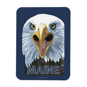 MaineEagle upp slut Magnet